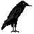 pixelated raven